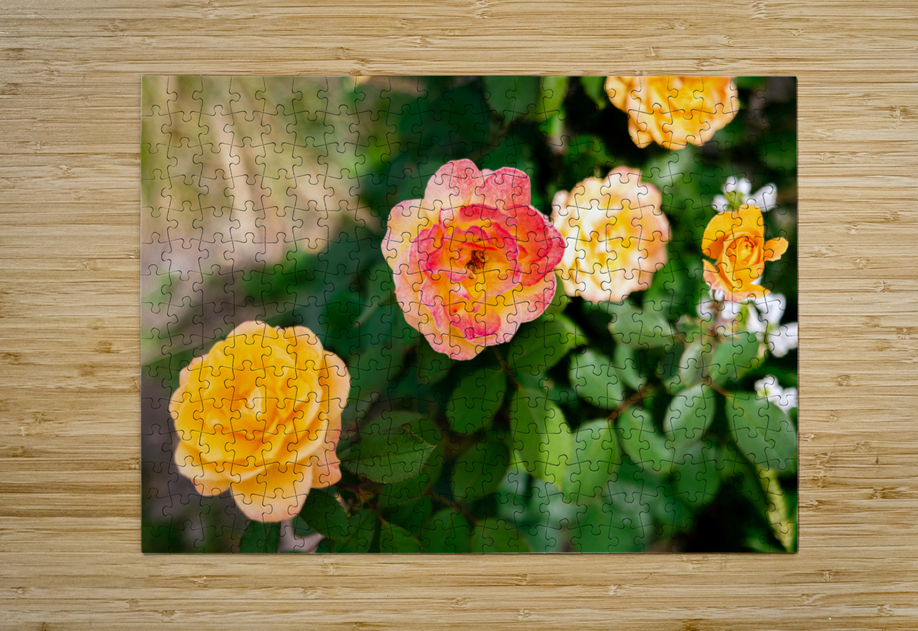 Bloom PureNature Puzzle printing