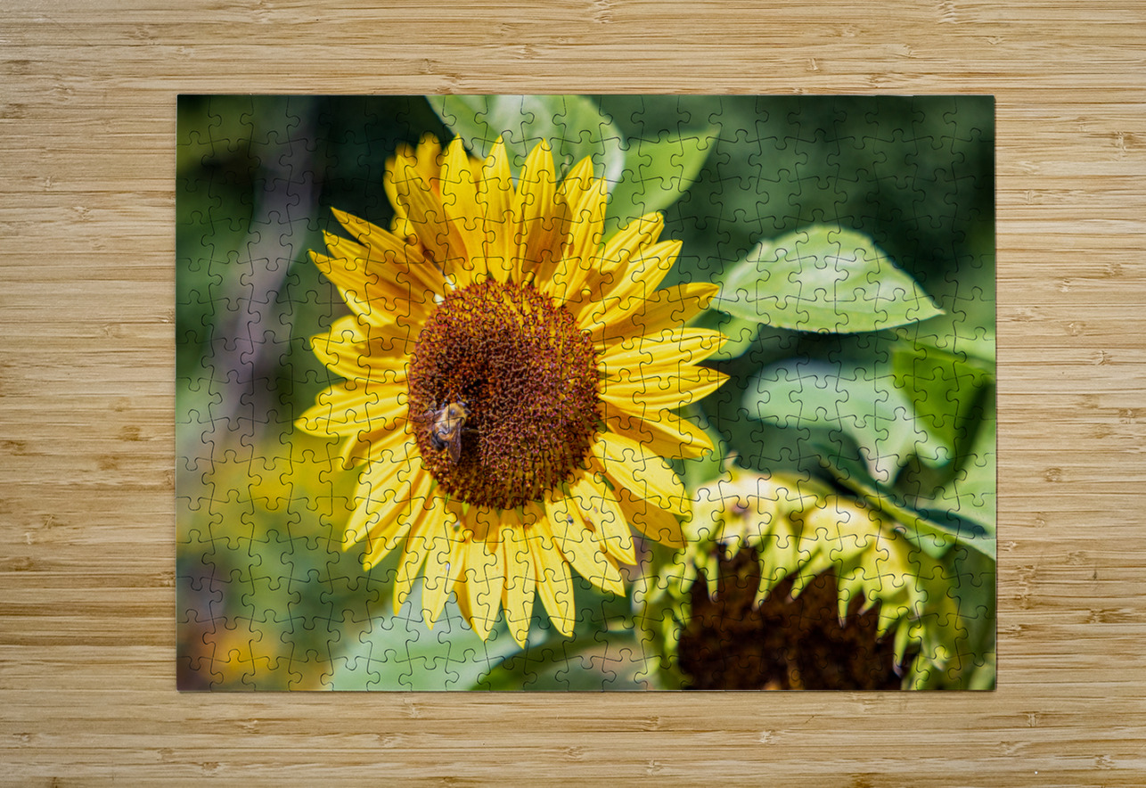Summer  HD Metal print with Floating Frame on Back