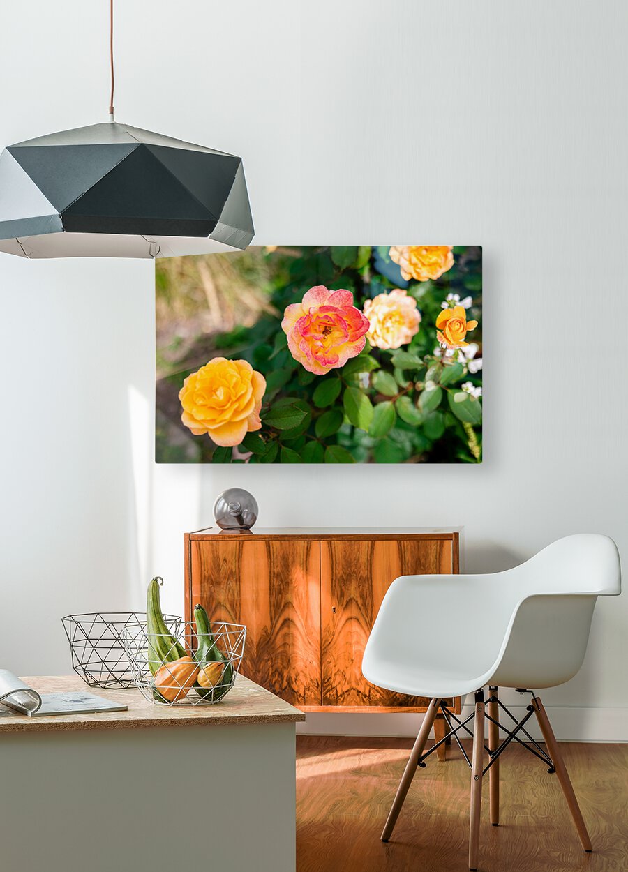Bloom  HD Metal print with Floating Frame on Back