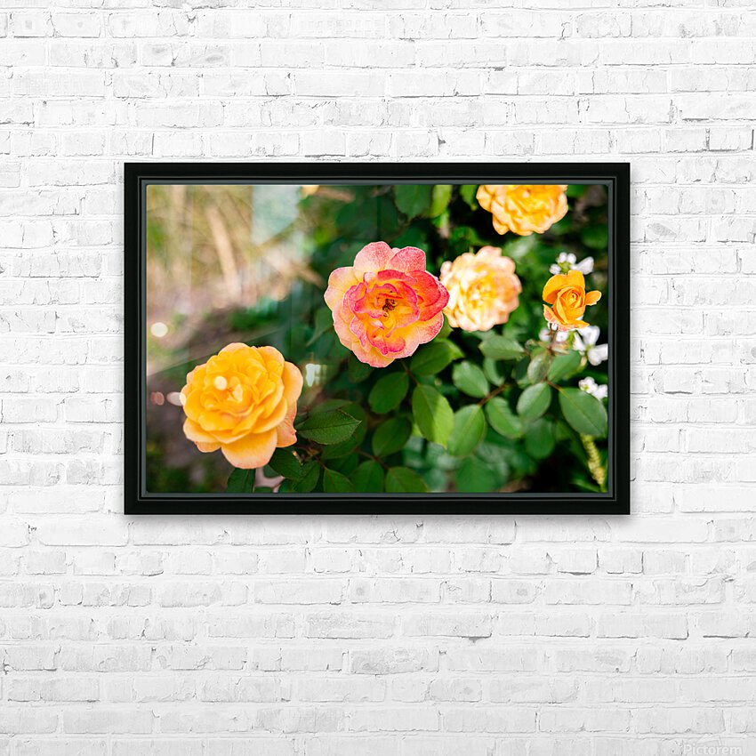 Bloom HD Sublimation Metal print with Decorating Float Frame (BOX)