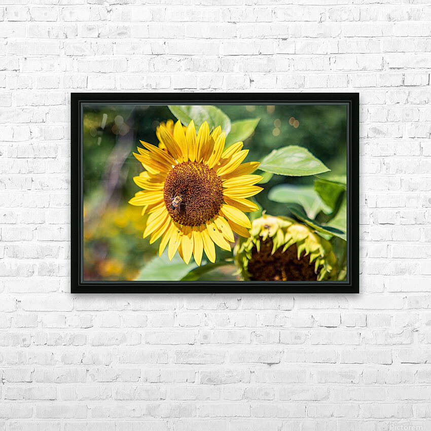 Summer HD Sublimation Metal print with Decorating Float Frame (BOX)