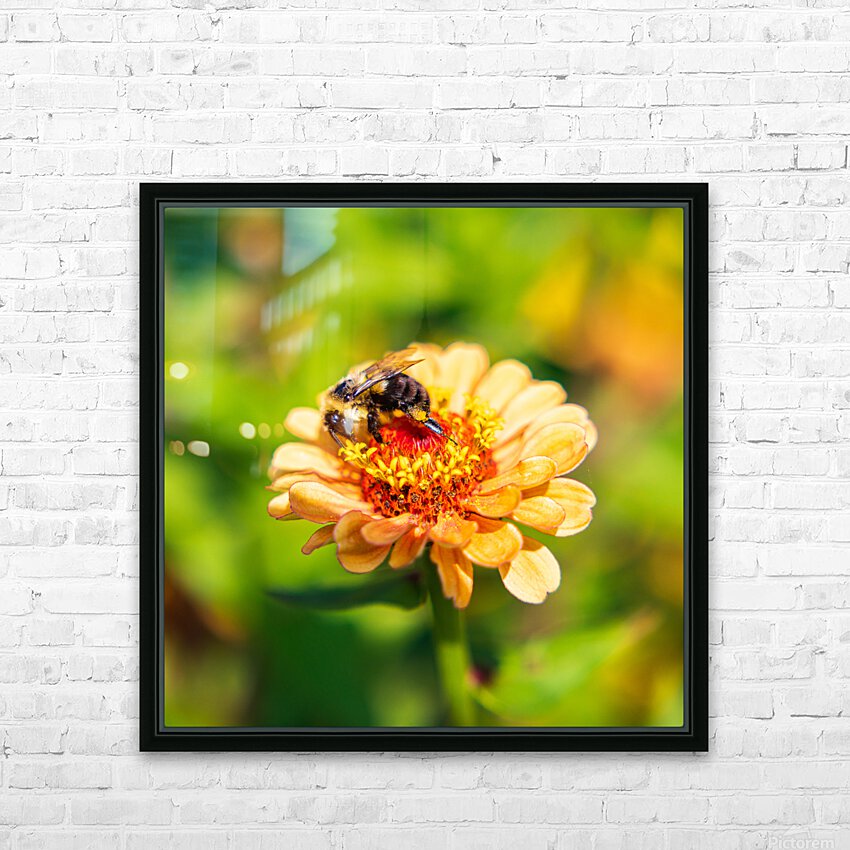Nectar HD Sublimation Metal print with Decorating Float Frame (BOX)